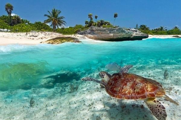 Апарт готель Kuwa Zanzibar Ківенґва Екстер'єр фото